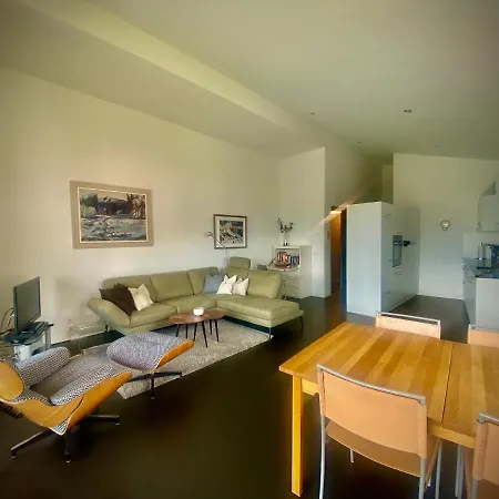 Crap Ner Apartment Flims